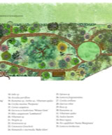 Plan of the woodland garden