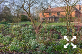 View of drifts of Galanthus nivalis flowering in Bates Green Garden border in early Spring - February