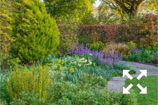 View of mixed borders flowering in Bates Green Garden in Spring - April