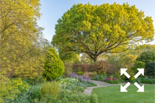 View of mixed borders flowering in Bates Green Garden in Spring - April