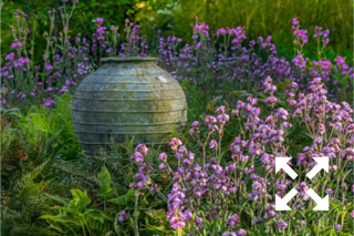 Mallia terracotta pot used as a focal point in Bates Green Garden border in early Summer - May
