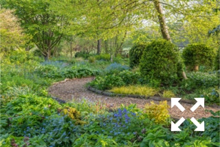 View of a meandering bark mulched path in Bates Green Garden in Spring - April